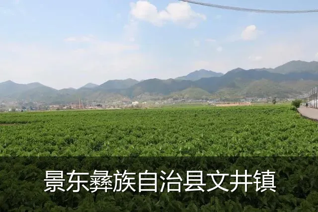 景东彝族自治县文井镇